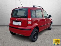 Usata Fiat Panda Dynamic 60 CV (44 kW) 2010 Rosso Utilitaria