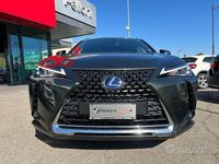Usata Lexus UX 250h Executive Line 184 CV (135 kW) 2019 Verde SUV