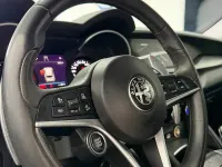 Usata Alfa Romeo Stelvio Executive 209 CV (153 kW) 2019 Grigio SUV