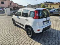 Usata Fiat Panda 4x4 S 95 CV (69 kW) 2018 Gelato Utilitaria