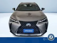 Nuova Lexus UX 183 CV (134 kW) 2025 Grigio SUV