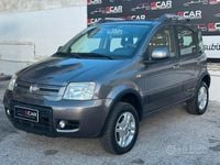Usata Fiat Panda 4x4 Climbing 75 CV (55 kW) 2011 Grigio Utilitaria