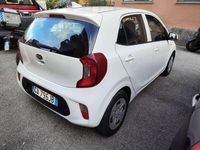 Usata Kia Picanto Urban 67 CV (49 kW) 2020 .bianco Utilitaria
