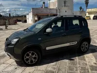 Usata Fiat Panda Cross Cross 95 CV (69 kW) 2016 Verde Utilitaria