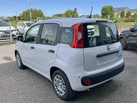 Nuova Fiat Panda Icon 65 CV (47 kW) 2025 Bianco gelato Utilitaria