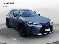 Usata Lexus UX 2020 Grigio SUV