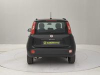 usata Fiat Panda III - 1.2 Lounge s&s 69cv my19