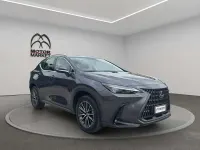 Usata Lexus NX200t Business Edition 243 CV (178 kW) 2023 Grigio / gray SUV