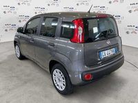 usata Fiat Panda 1.2 Pop