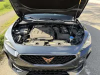 Usata Cupra Formentor 150 CV (110 kW) 2021 SUV
