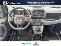 Usata Fiat Panda City Life 69 CV (50 kW) 2024 Bianco Utilitaria