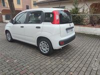 Usata Fiat Panda City Life 71 CV (52 kW) 2021 Bianco Berlina