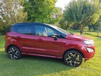 Usata Ford Ecosport 125 CV (91 kW) 2018 Rosso SUV