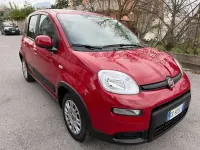 Usata Fiat Panda Cross Cross 69 CV (50 kW) 2023 Rosso Utilitaria