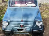 Usata Fiat 600 1960 Grigio Utilitaria