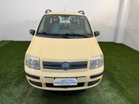 usata Fiat Panda 1.2 AUTOMATICA NEOPATENTATI OK