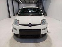 Usata Fiat Panda City Life 69 CV (50 kW) 2024 Bianco Utilitaria