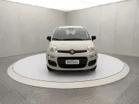 Usata Fiat Panda Easy 69 CV (50 kW) 2016 Beige Utilitaria