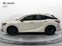 Usata Lexus RX500h Sport Line 371 CV (272 kW) 2024 Bianco SUV
