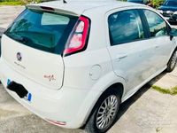 Usata Fiat Punto 69 CV (50 kW) 2014 Utilitaria