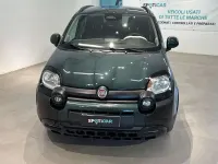 Usata Fiat Panda S 69 CV (50 kW) 2025 Verde Utilitaria