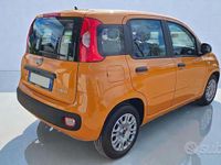 Usata Fiat Panda S 70 CV (51 kW) 2022 Orange pastello Utilitaria