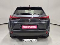 Usata Lexus UX 152 CV (111 kW) 2023 Grigia SUV