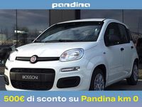 Nuova Fiat Panda Icon 65 CV (47 kW) 2026 Bianco Utilitaria