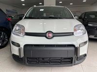 usata Fiat Panda PandaHYBRID 1.0 BZ 70 CV KM0 NUOVA ROTTAMAZIONE