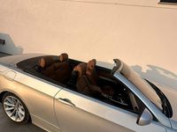 Usata BMW 320 Cabriolet 2011 Grigio Cabrio