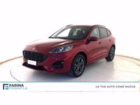 Usata Ford Kuga ST-Line X 225 CV (165 kW) 2023 Rosso SUV
