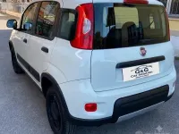 Usata Fiat Panda 4x4 S 85 CV (62 kW) 2017 Bianco Utilitaria