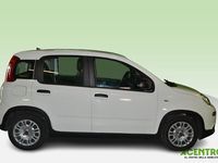 Usata Fiat Panda 70 CV (51 kW) 2021 Gray Utilitaria