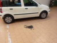 Usata Fiat Panda Dynamic 60 CV (44 kW) 2009 Bianco Utilitaria