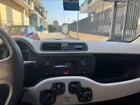 Usata Fiat Panda 85 CV (62 kW) 2013 Utilitaria