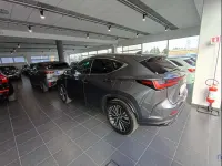 Usata Lexus NX350h Luxury Line 190 CV (139 kW) 2023 Other Utilitaria