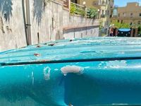 Usata VW Transporter 102 CV (75 kW) 1998 Verde Furgone