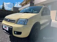 Usata Fiat Panda 4x4 60 CV (44 kW) 2005 Giallo Utilitaria