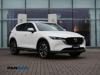 Usata Mazda CX-5 Signature 150 CV (110 kW) 2023 Bianco SUV