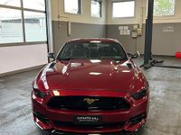 Usata Ford Mustang Fastback 310 CV (228 kW) 2019 Rosso Coupé