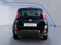 Usata Fiat Panda S 69 CV (50 kW) 2024 Nero Utilitaria