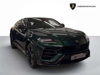 Usata Lamborghini Urus 650 CV (478 kW) 2020 Verde hermes SUV