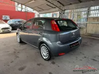 Usata Fiat Punto Lounge 69 CV (50 kW) 2016 Grigio Utilitaria