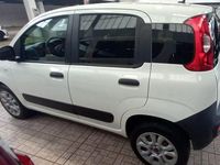 Usata Fiat Panda 4x4 Pop 86 CV (63 kW) 2020 Bianco Utilitaria