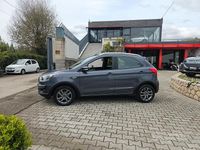Usata Ford Ka Active 85 CV (62 kW) 2019 Grigio Berlina