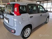 Usata Fiat Panda Easy 69 CV (50 kW) 2018 Grigio Utilitaria