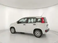 Usata Fiat Panda Easy 69 CV (50 kW) 2018 Bianco Utilitaria