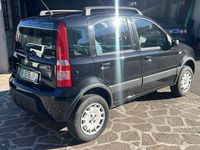 Usata Fiat Panda 4x4 60 CV (44 kW) 2008 Utilitaria