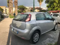 Usata Fiat Punto Evo Active 77 CV (56 kW) 2012 Other Utilitaria