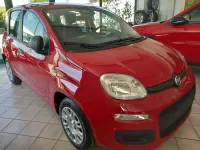 Usata Fiat Panda S 70 CV (51 kW) 2024 Bianco / pastello Utilitaria